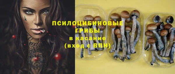 apvp Вязьма