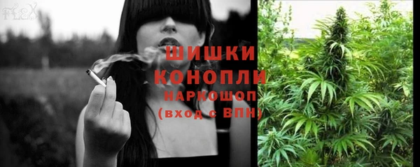apvp Вязьма
